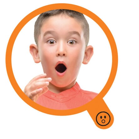 Learning Resources See My Feelings Mirror Set 4pk  hi\-res