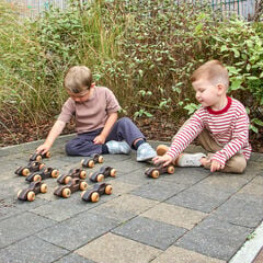 TTS Small World Outdoor Wooden Racing Cars 10pk  hi-res