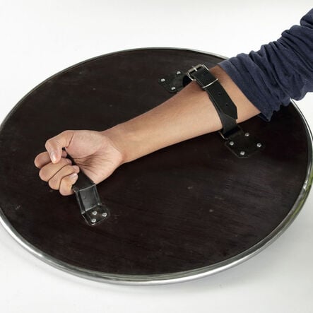 Replica Viking Shield  hi\-res