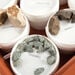 Rock Samples Class Pack  hi\-res