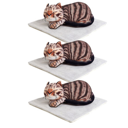 Vibrating Weighted Cat 3pk  hi\-res