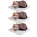 Vibrating Weighted Cat 3pk  hi\-res