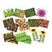 Ladybugs Counting Stones 22pk  hi\-res