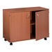 Double Cupboard  hi\-res