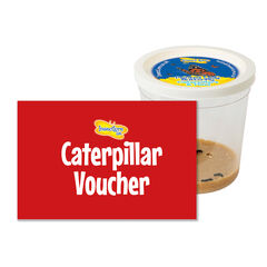 Refill Caterpillars for Butterfly Kits 3-5pk  Refill Caterpillars for Butterfly Kits 3-5pk  hi-res