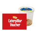 Refill Caterpillars for Butterfly Kits 3\-5pk  hi\-res