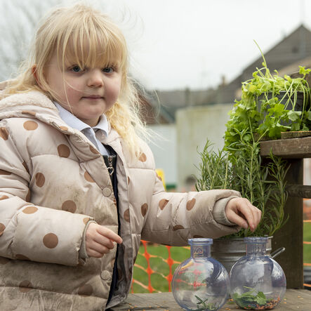 TTS Plastic Messy Play Potion Bottles Clear 3pk Clear TTS Plastic Messy Play Potion Bottles Clear 3pk Clear hi\-res