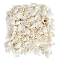 White Seashells 2.5l  White Seashells 2.5l  hi-res