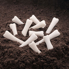 Discovery Dinosaur Bones  Discovery Dinosaur Bones  hi-res