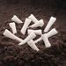 Discovery Dinosaur Bones  hi\-res