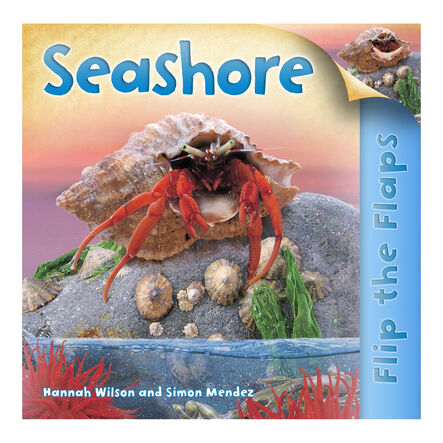 Seaside Topic Book Pack 10pk  hi\-res
