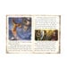 Amber Guardians Catch\-up Reading Books 10pk  hi\-res