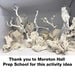 Plaster of Paris 10kg  hi\-res