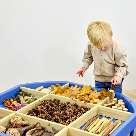 Tuff Tray Loose Parts Sorting Dividers  hi\-res