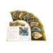 Amber Guardians Catch\-up Reading Books 10pk  hi\-res