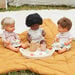 Miniland Baby Dolls 38cm Bundle  hi\-res
