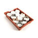 Rock Samples Class Pack  hi\-res