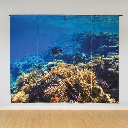 TTS Immersive Environments Backdrop Under The Sea  hi\-res