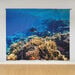 TTS Immersive Environments Backdrop Under The Sea  hi\-res