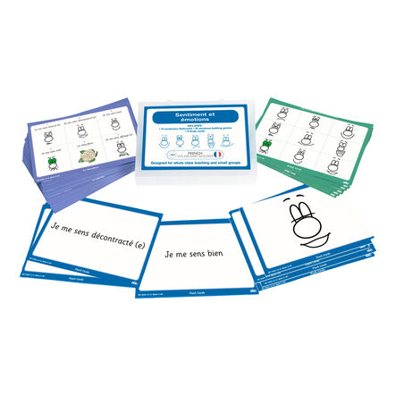 TTS French Feelings and Emotions Topic Cards  hi\-res