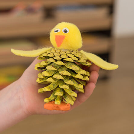 Natural Pine Cones 500g  hi\-res