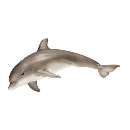Detailed Small World Sea life Collection  hi\-res