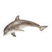 Detailed Small World Sea life Collection  hi\-res