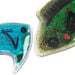 Squidgy Sparkle Fish 6pk  hi\-res