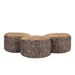 Learn about Nature Tree Stump Seat  hi\-res