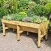 Veg Trug Planter Natural Wood  hi\-res