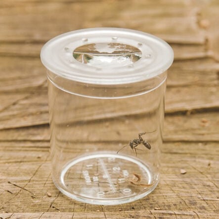Class Pack of Magnifiers 35pk  hi\-res