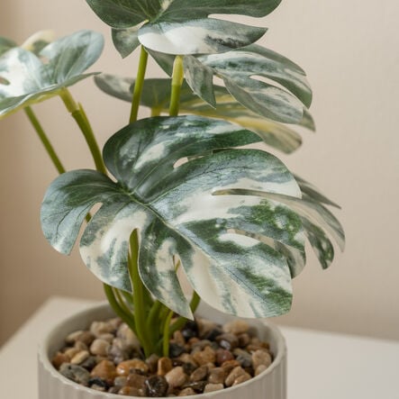 Artificial House Plants in White Ribbed Ceramic Pots 3pk  hi\-res