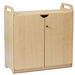 Lockable Storage Cupboard with Display \x26 Mirror Back  hi\-res