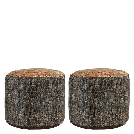 Learn about Nature Tree Stump Seat  hi\-res