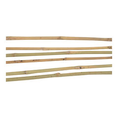 Bamboo Canes 20pk  hi-res