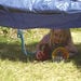 Den Building with Crates Kit  hi\-res