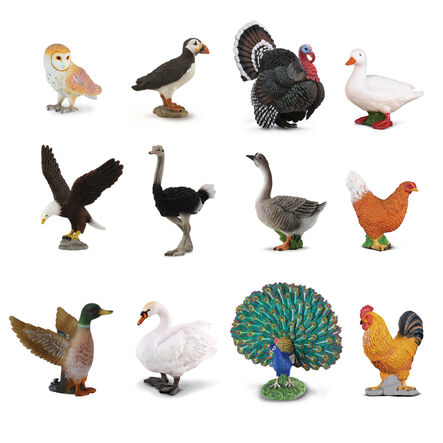 Small World Birds Set  hi\-res
