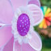 Windy Playground Sensory Set  hi\-res