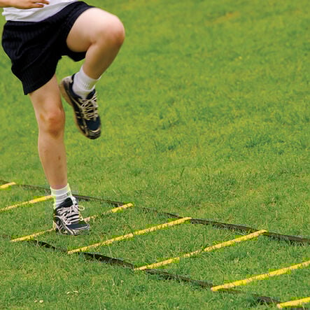 Speed Agility Flat Rung Ladders L4m  hi\-res