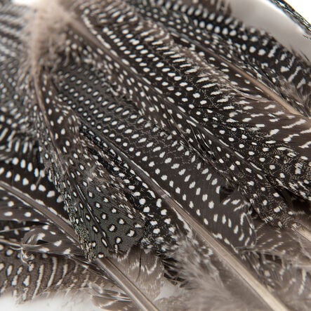 Feather Pack Assorted 78g  hi\-res