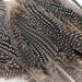 Feather Pack Assorted 78g  hi\-res