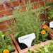 Garden Planter  hi\-res