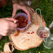 Messy Play Natural Potion Making Kit  hi\-res