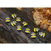 Honey Bee Number Stones  hi\-res