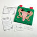 Reproductive Organ Display Vests  hi\-res