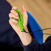 Chewable Sensory Pendants 2pk  hi\-res