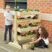 TTS Individual Wooden Planters  hi\-res