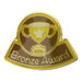 Enamel Gold Silver and Bronze Reward Pin Badges 30pk  hi\-res