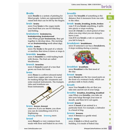 Collins Primary Dictionary  hi\-res