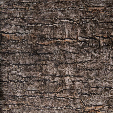 Learn about Nature Tree Stump Seat  hi\-res